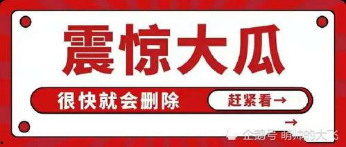 娱乐八卦吃瓜总汇421,揭秘421事件背后的真相与幕后故事